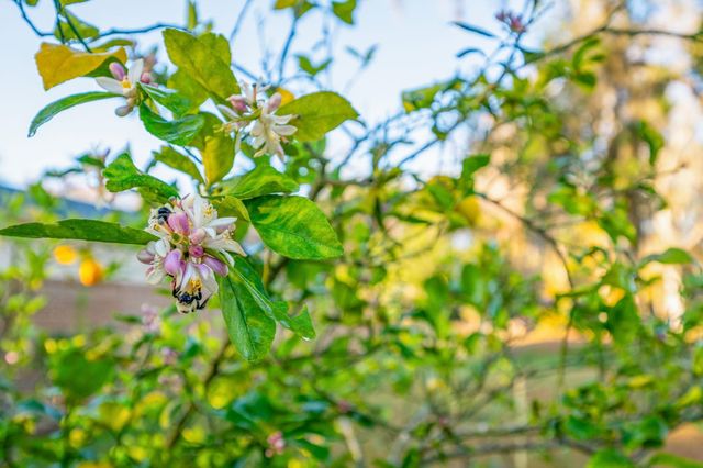 5011 Avenue B, St Augustine, FL 32095