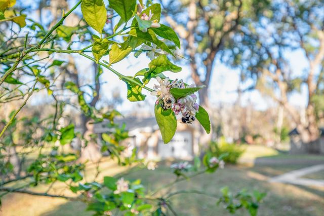 5011 Avenue B, St Augustine, FL 32095