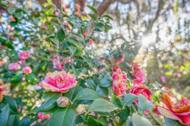 5011 Avenue B, St Augustine, FL 32095