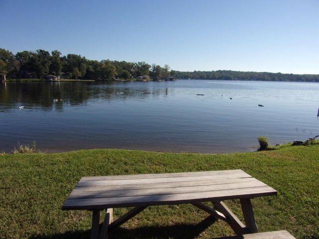 251 E Sycamore, Murchison, TX 75778