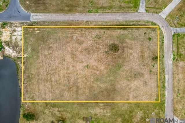 21050 Oak Alley Dr, Livingston, LA 70754