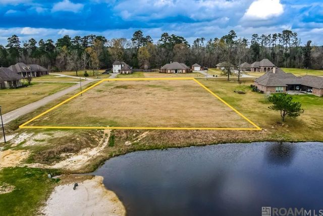 21050 Oak Alley Dr, Livingston, LA 70754