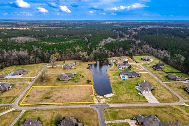 21050 Oak Alley Dr, Livingston, LA 70754