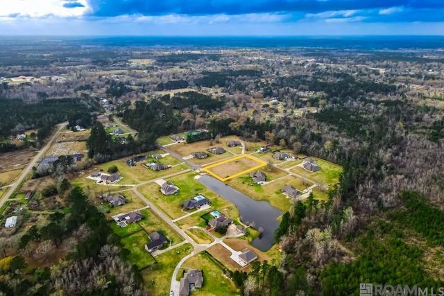 21050 Oak Alley Dr, Livingston, LA 70754