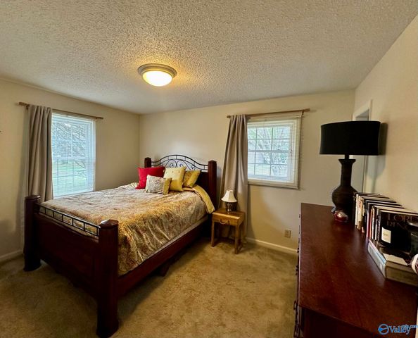 3400 Sorter Drive, Guntersville, AL 35976