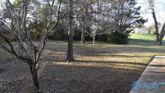 3400 Sorter Drive, Guntersville, AL 35976