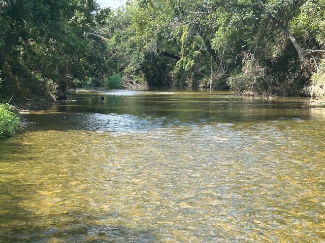 11910 Fm 1660, Hutto, TX 78634