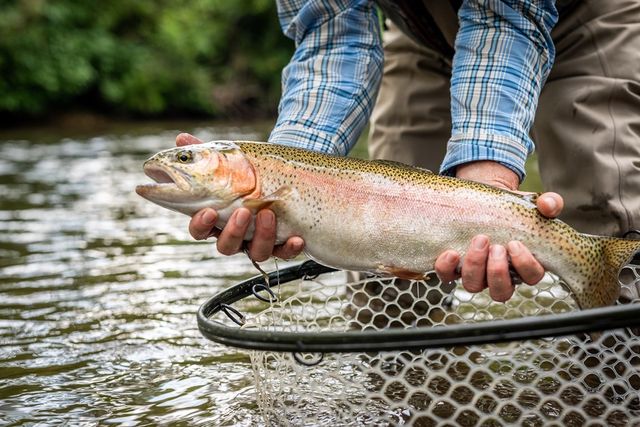 152-153 Hickory Way, Mineral Bluff, GA 30559