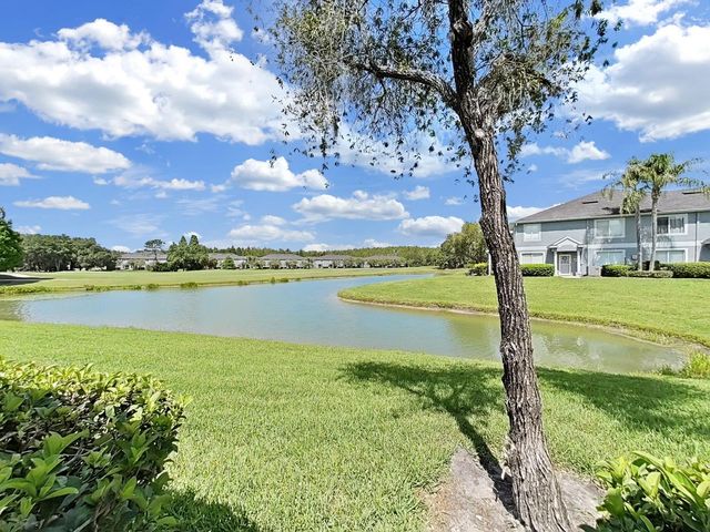 18126 PARADISE POINT DRIVE, Tampa, FL 33647