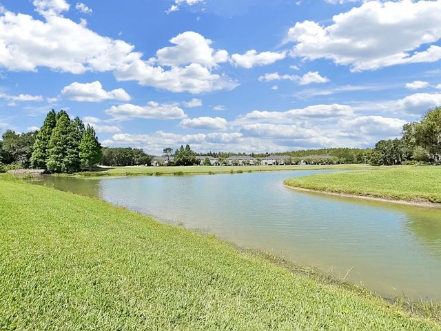 18126 PARADISE POINT DRIVE, Tampa, FL 33647