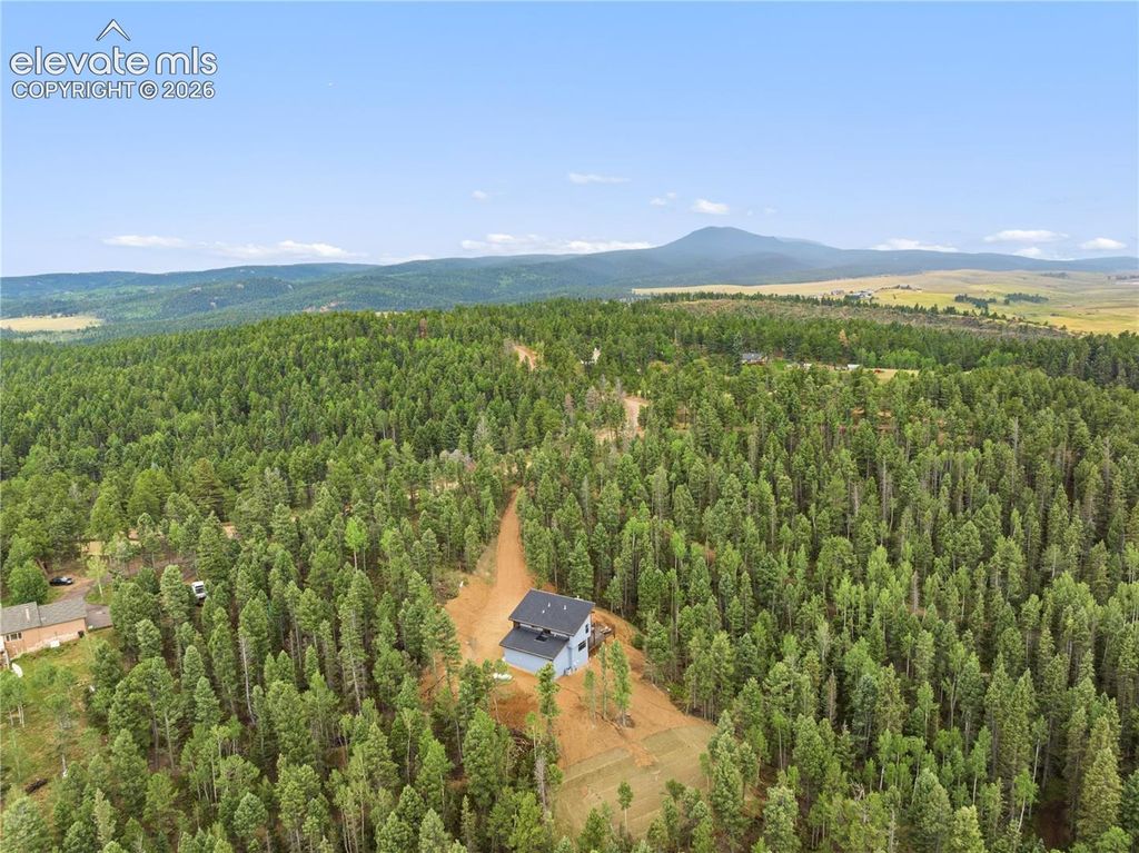 1489 County Road 25, Divide, CO 80814 — photo 5