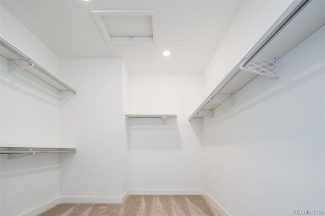 9241 Star Streak Circle, Littleton, CO 80125