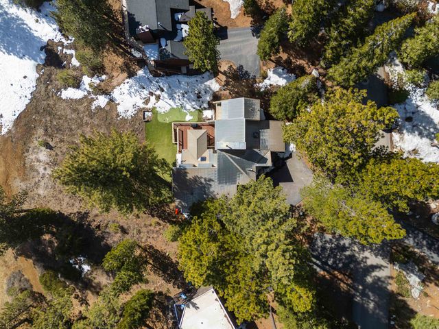 519 Wolf Tree, Truckee, CA 96161