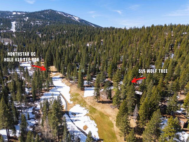 519 Wolf Tree, Truckee, CA 96161