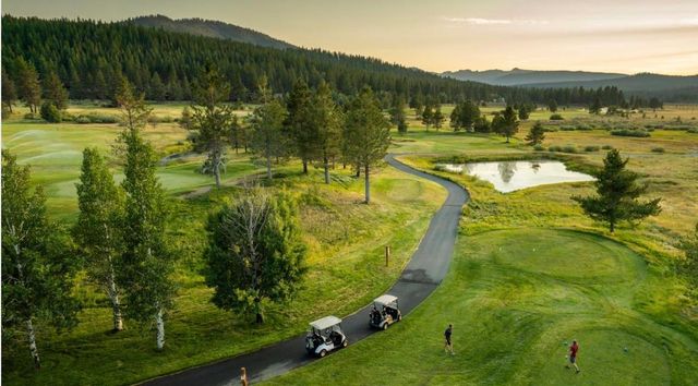 519 Wolf Tree, Truckee, CA 96161