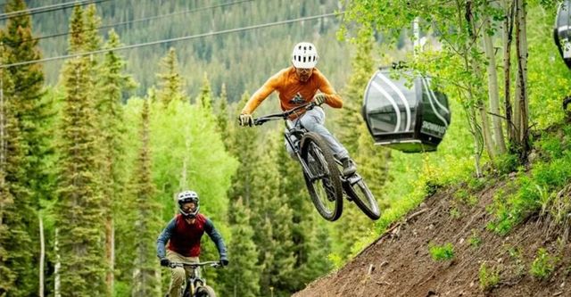 519 Wolf Tree, Truckee, CA 96161