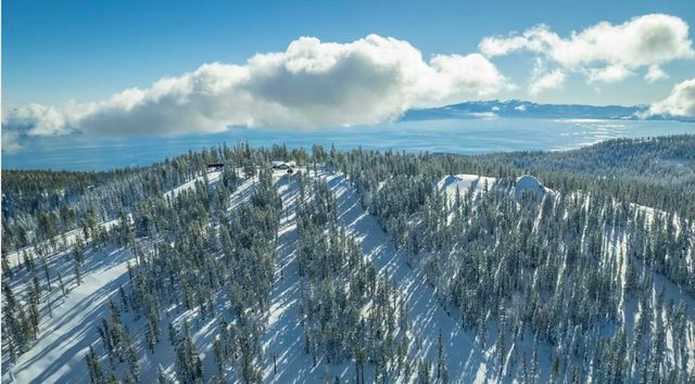 519 Wolf Tree, Truckee, CA 96161