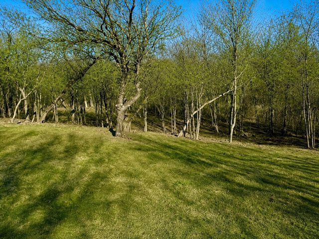 2955 Sonterra Drive, Cedar Hill, TX 75104