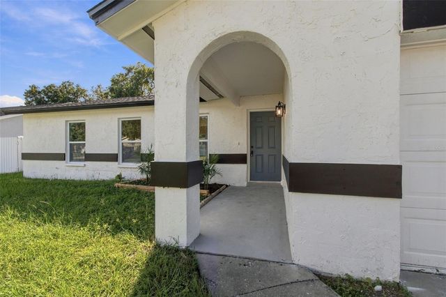 13918 BRIARDALE LANE, Tampa, FL 33618