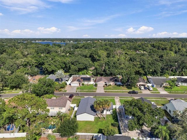 13918 BRIARDALE LANE, Tampa, FL 33618