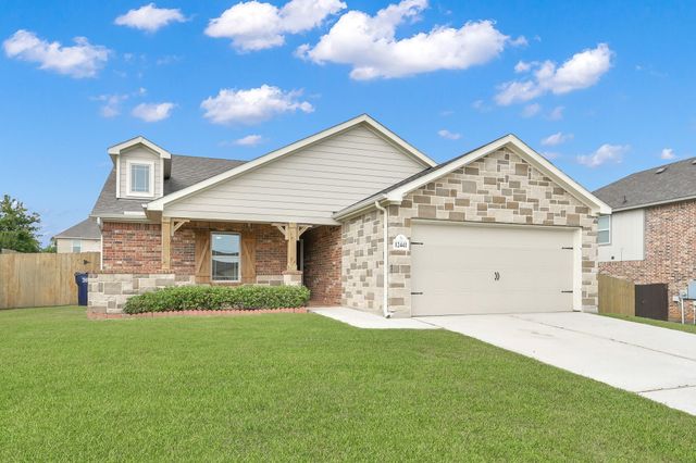 12441 Hackberry Drive, Willis, TX 77318