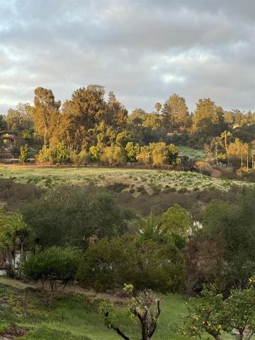 17335 Via Del Bravo, Rancho Santa Fe, CA 92067