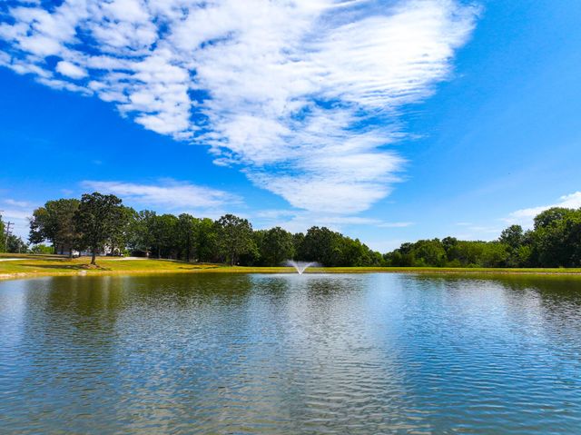 22131 Pepper Lane, Wheatland, MO 65779