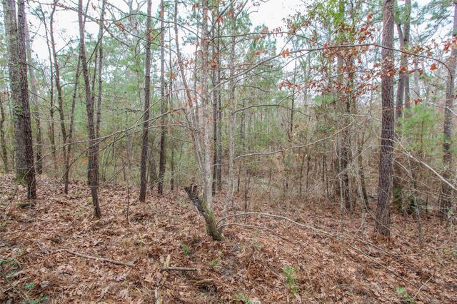 0001 W Rosewood Parkway, Point Blank, TX 77364