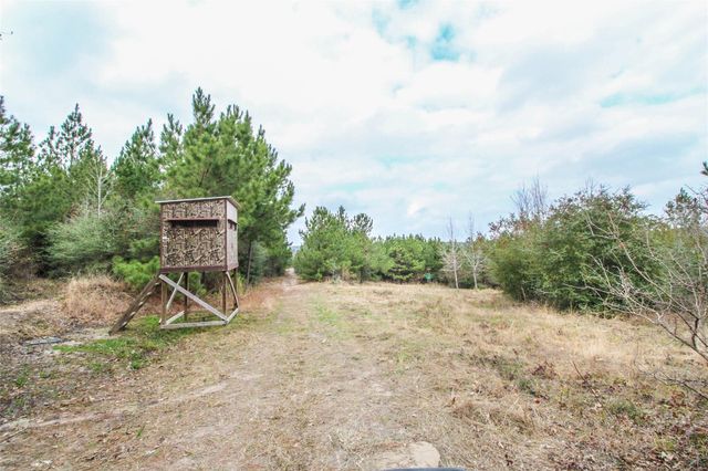 0001 W Rosewood Parkway, Point Blank, TX 77364