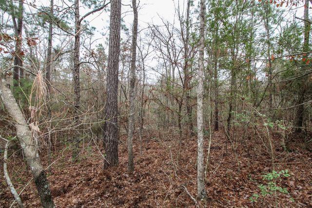 0001 W Rosewood Parkway, Point Blank, TX 77364