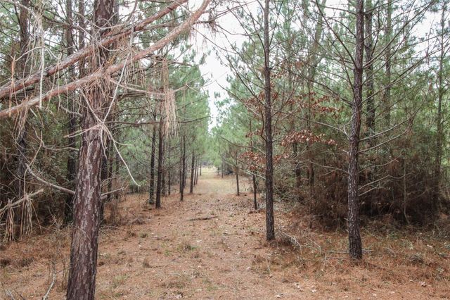 0001 W Rosewood Parkway, Point Blank, TX 77364