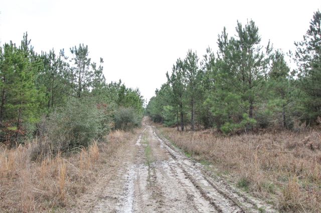 0001 W Rosewood Parkway, Point Blank, TX 77364