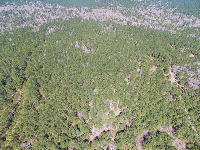 0001 W Rosewood Parkway, Point Blank, TX 77364