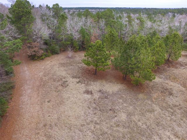 0001 W Rosewood Parkway, Point Blank, TX 77364