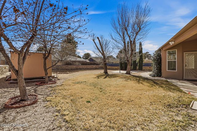 3056 Spitz Street, Las Cruces, NM 88005