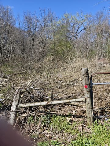 0 Lakeview Dr, Smithville, TN 37166