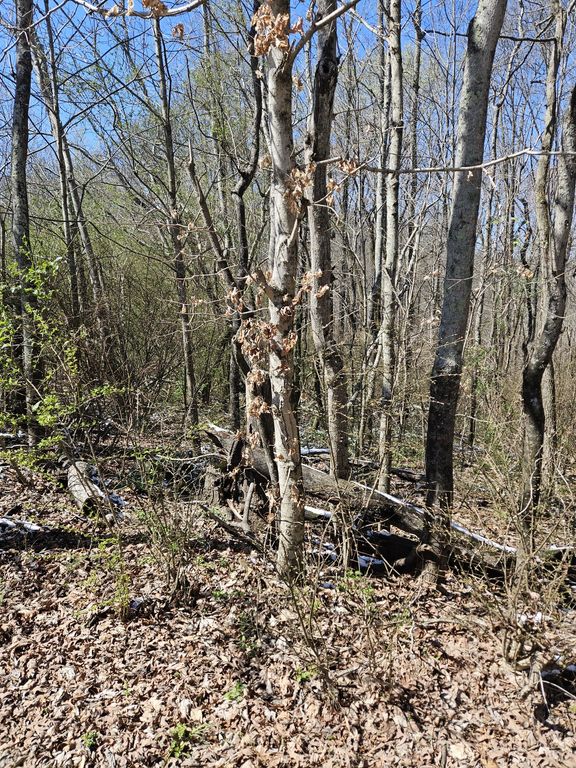 0 Lakeview Dr, Smithville, TN 37166