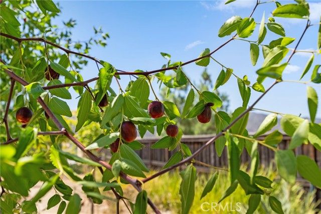 36220 Madora Drive, Wildomar, CA 92595