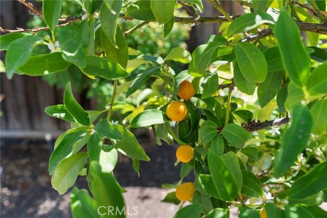 36220 Madora Drive, Wildomar, CA 92595