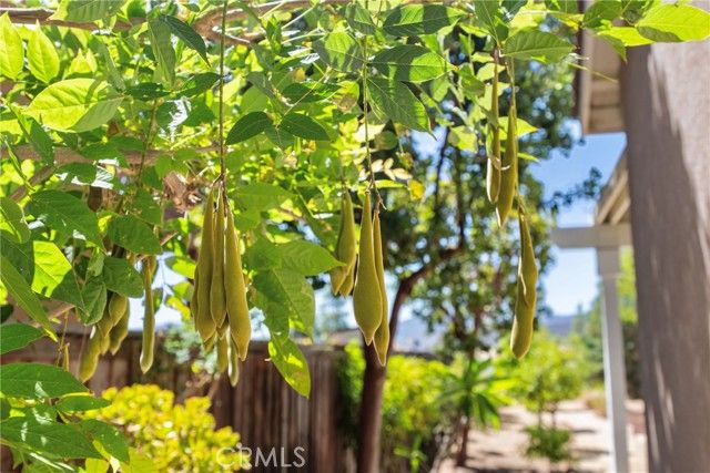 36220 Madora Drive, Wildomar, CA 92595