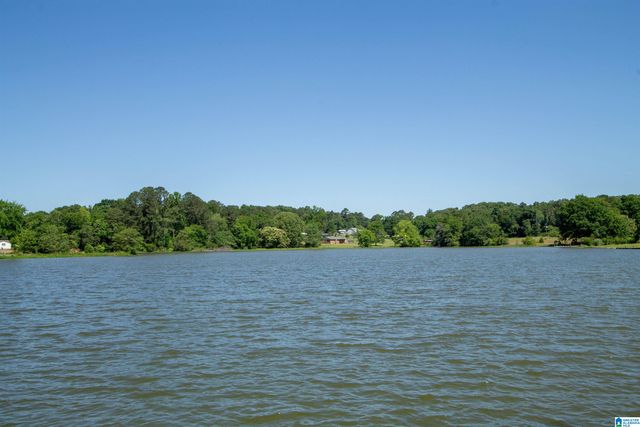401 ALLEN ROAD, Pell City, AL 35128