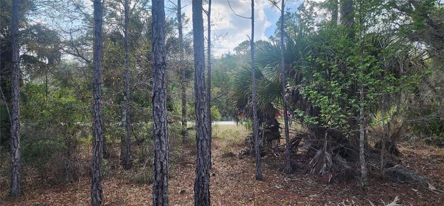 18164 RETRIEVER ROAD, Weeki Wachee, FL 34614
