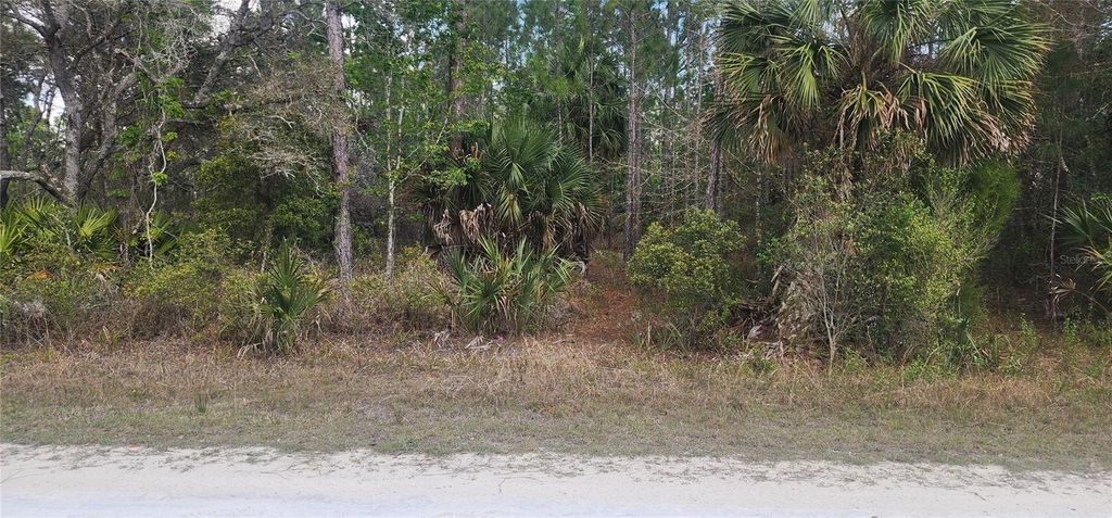 18164 RETRIEVER ROAD, Weeki Wachee, FL 34614