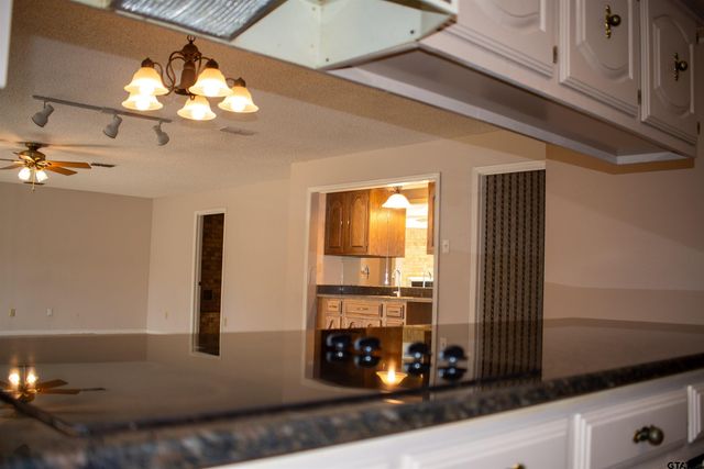 115 Raton Pass, Holly Lake Ranch, TX 75765