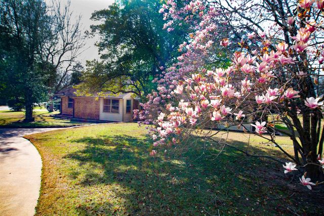 115 Raton Pass, Holly Lake Ranch, TX 75765