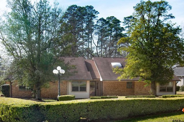 115 Raton Pass, Holly Lake Ranch, TX 75765