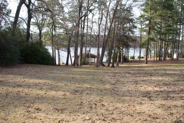 115 Raton Pass, Holly Lake Ranch, TX 75765