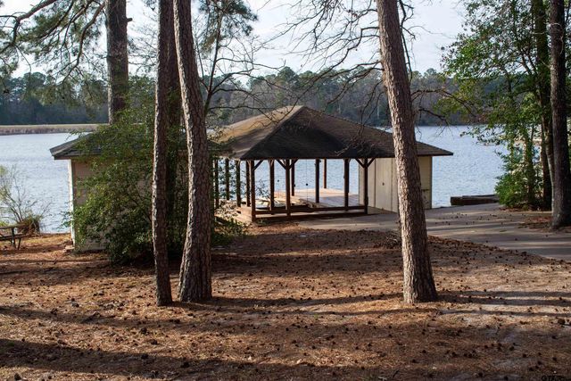 115 Raton Pass, Holly Lake Ranch, TX 75765