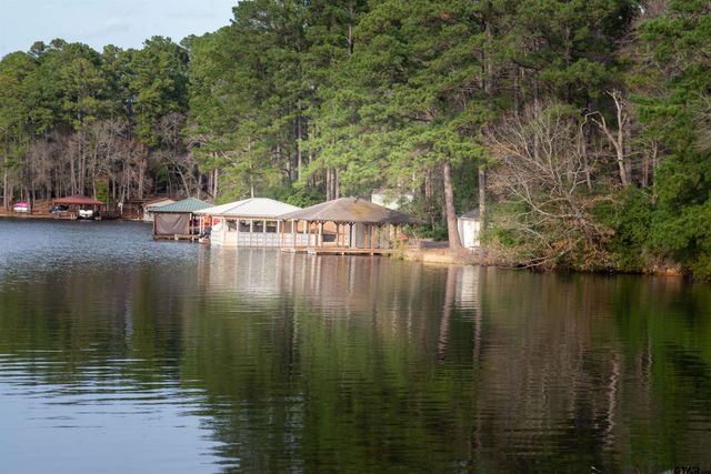 115 Raton Pass, Holly Lake Ranch, TX 75765