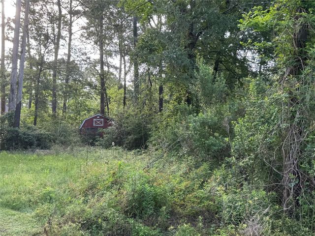 TBD Antilles Drive, Point Blank, TX 77364